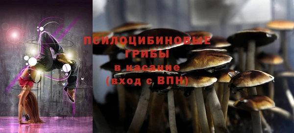 гидра Навашино