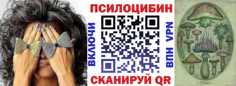 Галлюциногенные грибы Psilocybine cubensis  сколько стоит  Стерлитамак 